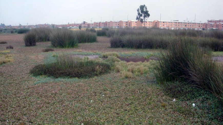 Foto: Alcaldía de Bogotá