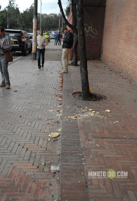 Foto: Fco. Javier Bohórquez