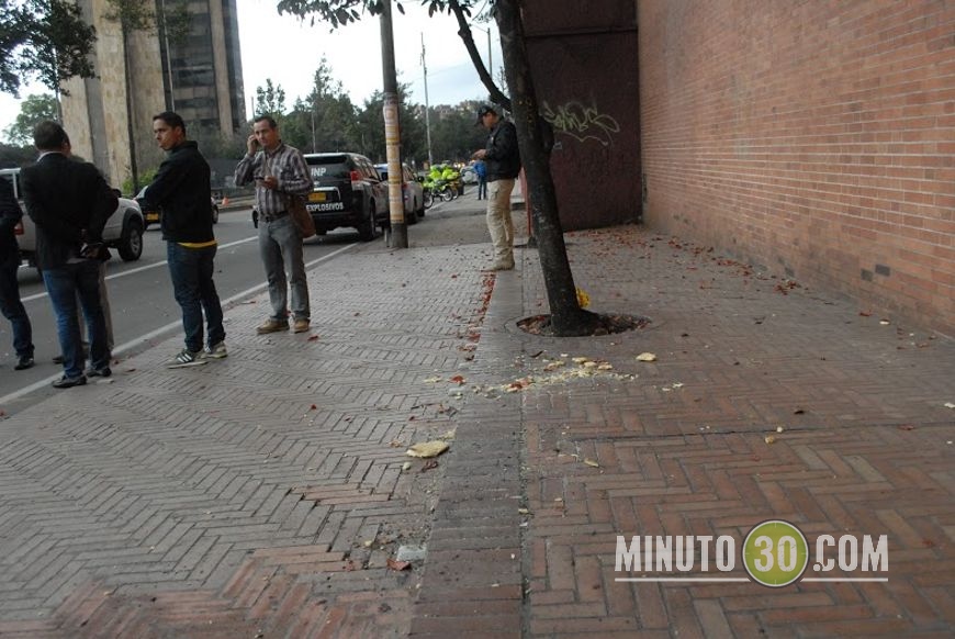 Foto: Fco. Javier Bohórquez