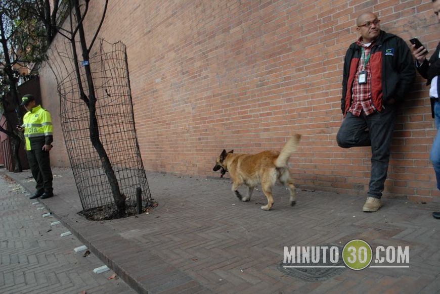 Foto: Fco. Javier Bohórquez