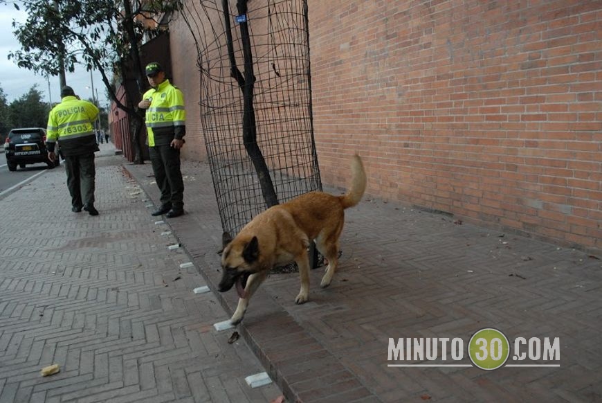 Foto: Fco. Javier Bohórquez