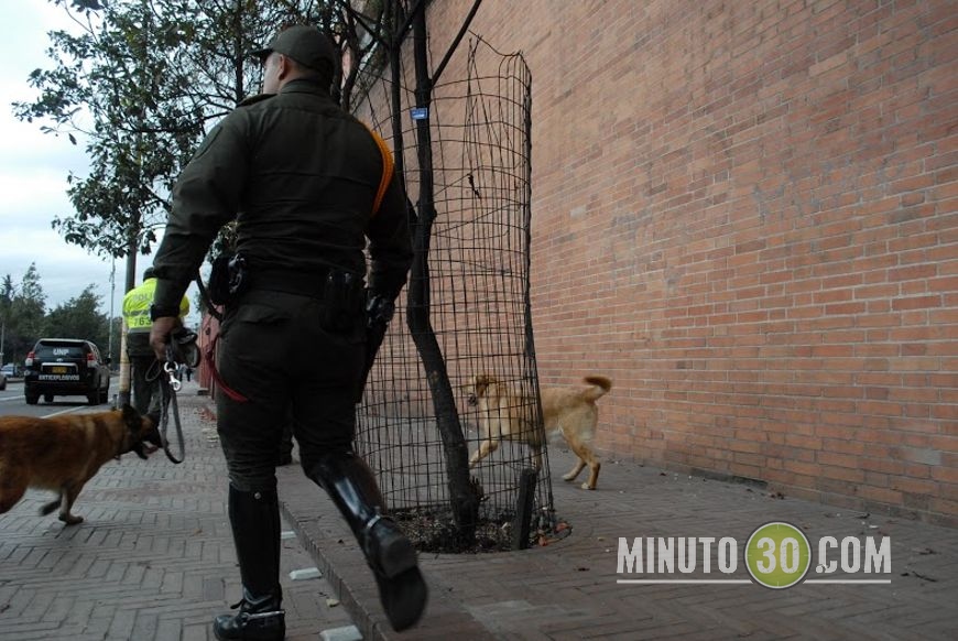 Foto: Fco. Javier Bohórquez