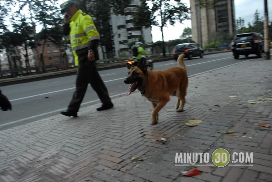 Foto: Fco. Javier Bohórquez