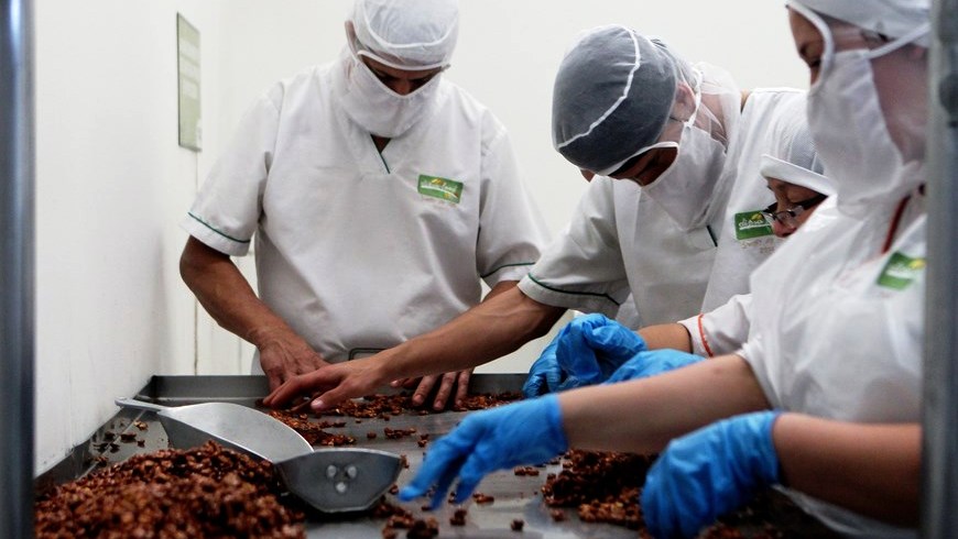 FRUTAS EXOTICAS COLOMBIANAS