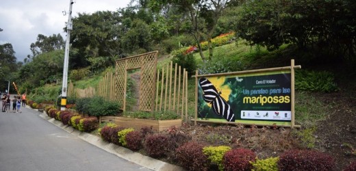 Medellín ya cuenta con un mariposario abierto