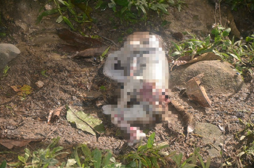 Foto: Cortesía Guillermo Naranjo