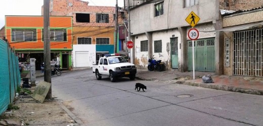 A un conductor de acarreos lo acribillaron dentro de su automóvil