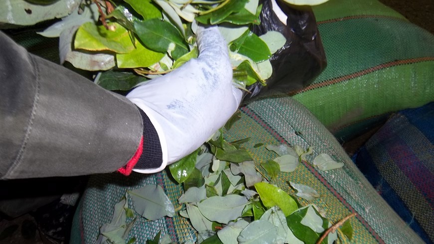 Laboratorio de las Farc destruido en Anorí. Foto: Ejército