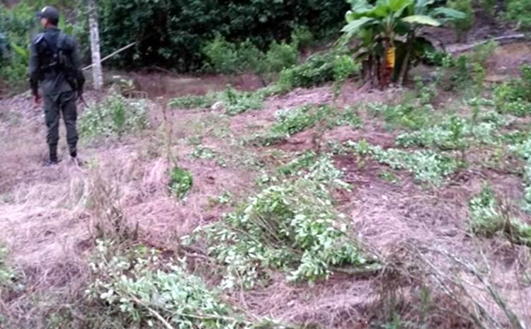 Cortesía Policía Antioquia