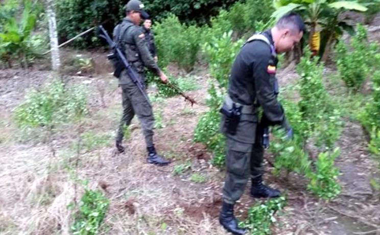 Cortesía Policía Antioquia