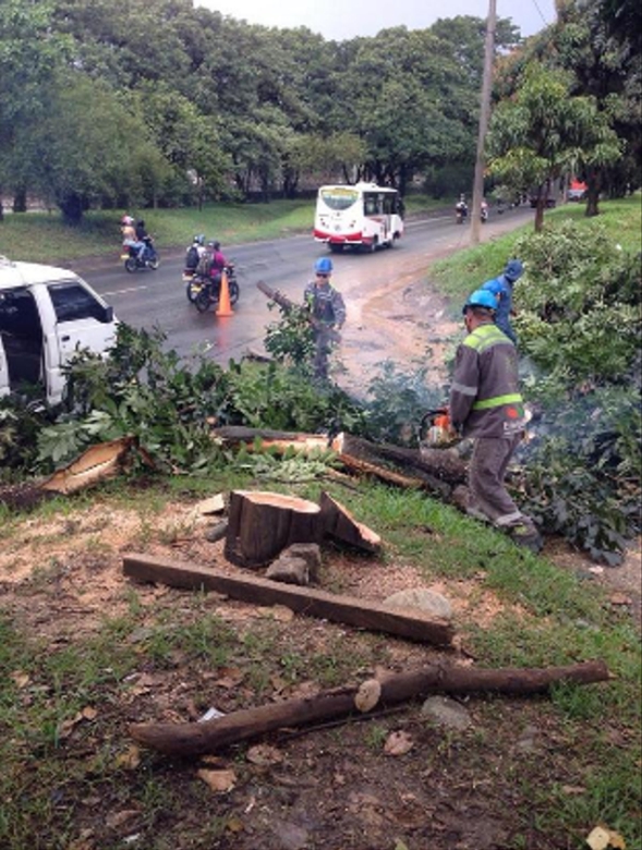 Foto: @Sec_ambienteEnv