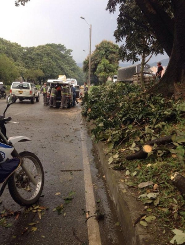 Foto: @Sec_ambienteEnv