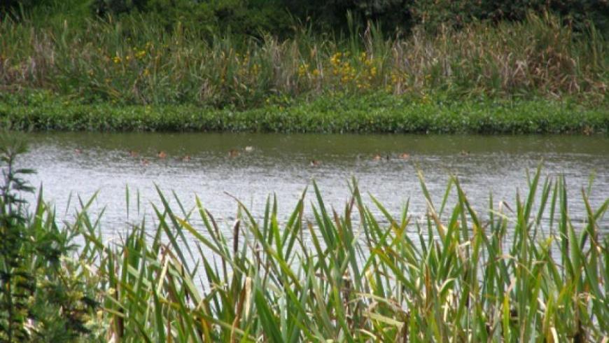 Foto: Alcaldía de Bogota