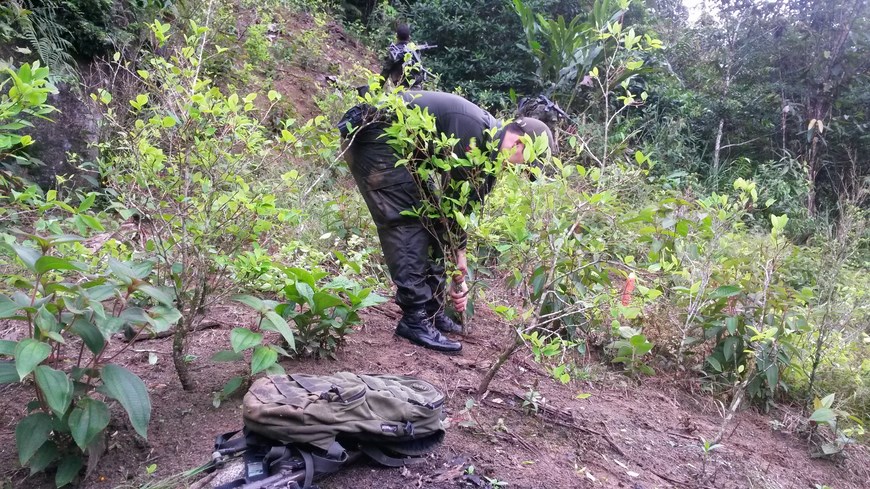 Cortesía Policía Antioquia