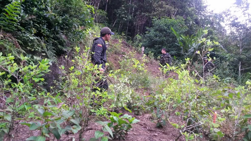 Cortesía Policía Antioquia