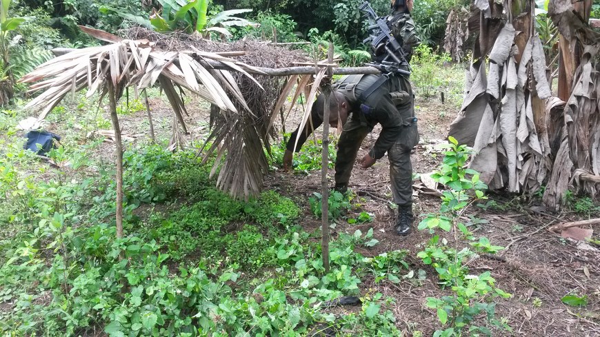 Cortesía Policía Antioquia