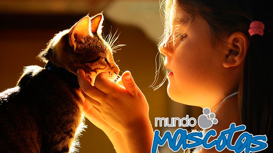 Foto: Mundo Mascotas
