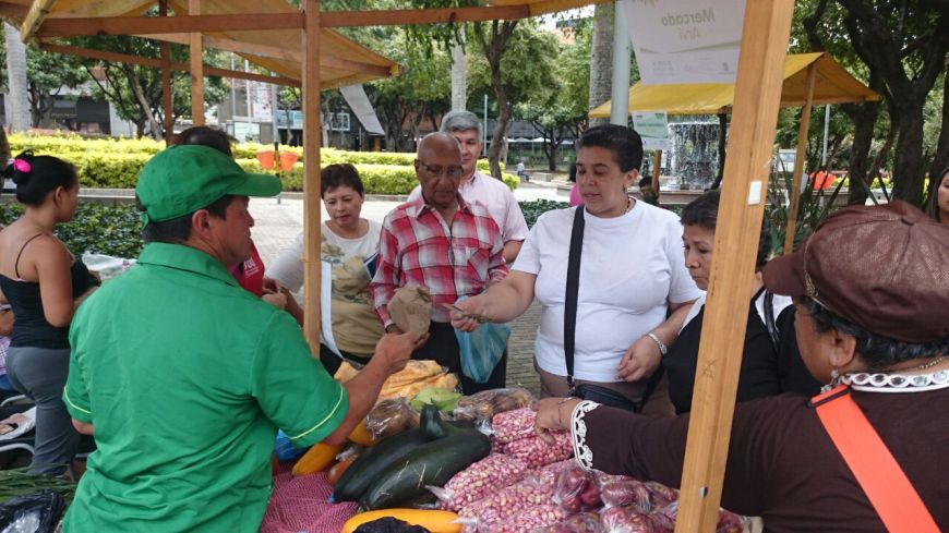 Disfrute de la muestra agrícola y artesanal en el parque San Antonio 1 muestra agr%C3%ADcola 5