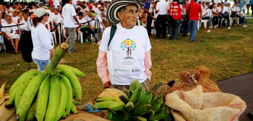 Con el regreso de campesinos a sus tierras, Colombia busca redimir su doloroso pasado paramilitar