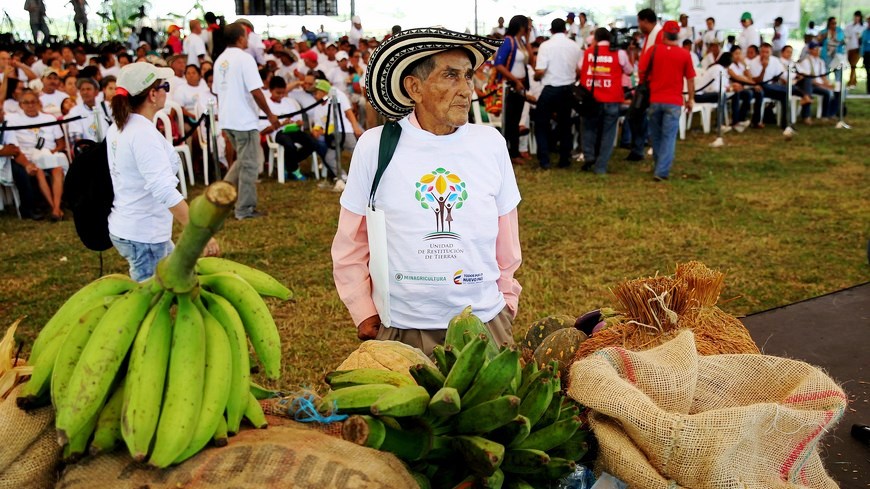 campesinos las tangas