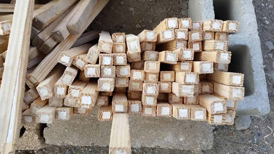 Foto: Policía Metropolitana