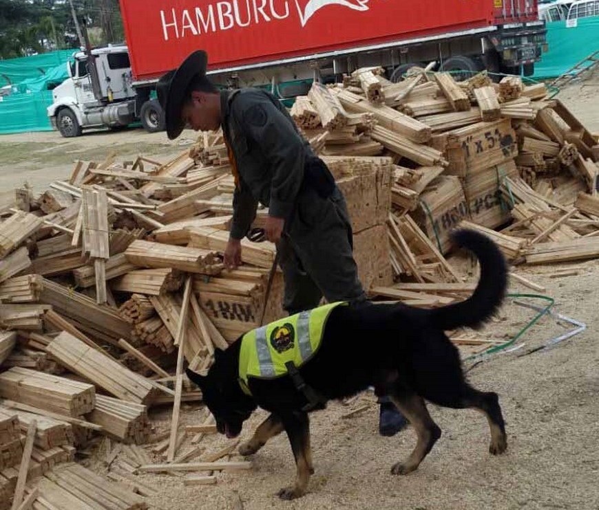 Foto: Policía Metropolitana