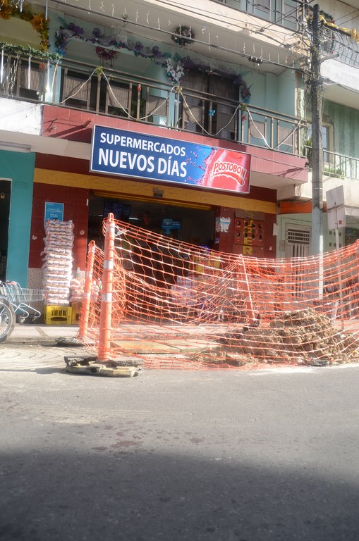 Foto: Guillermo Naranjo