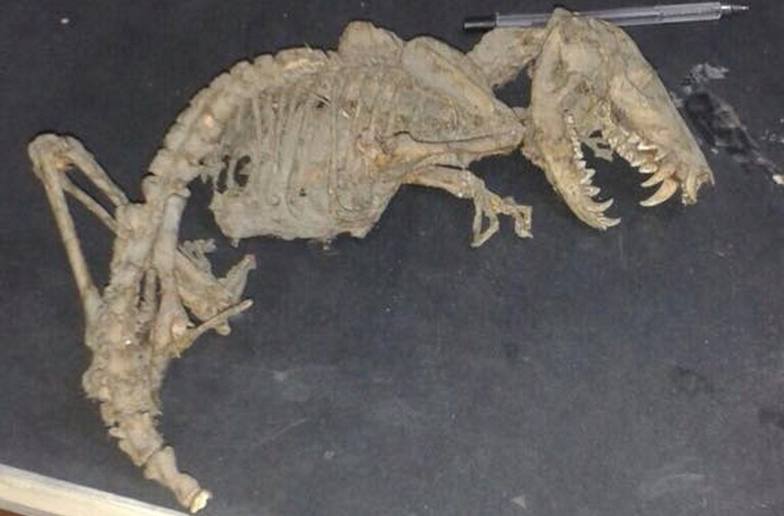 Foto: Tomada de Facebook