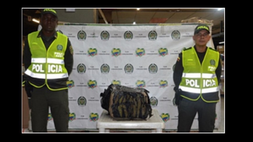 Policía incautó una encomienda de 70 kilos de marihuana 2 Foto: Policía Fiscal y Aduanera