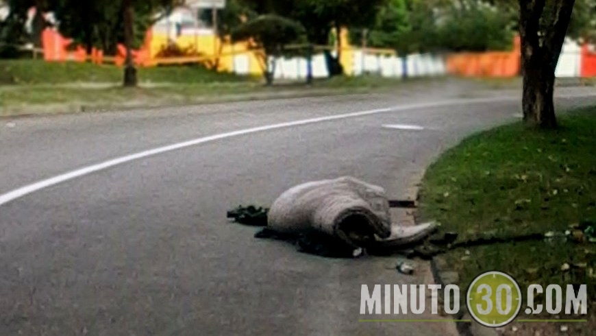 MUERTO EN COLCHÓN (1)