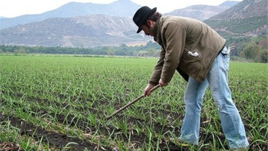 campesino
