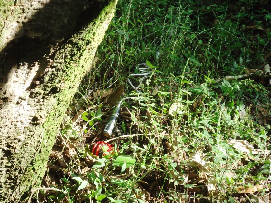 Foto: Cortesia Policía Antioquia