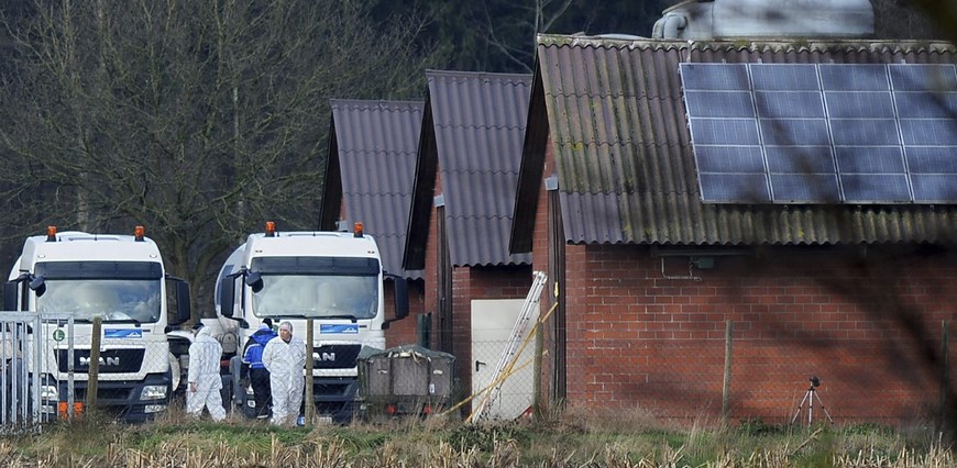 CONFIRMADO UN BROTE DE GRIPE AVIAR DE LA VARIANTE H5N8 EN UNA GRANJA ALEMANA