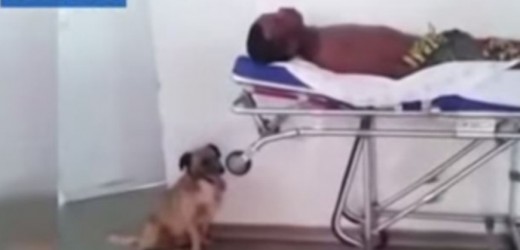 En Video: La prueba por qué el perro es el mejor amigo del hombre