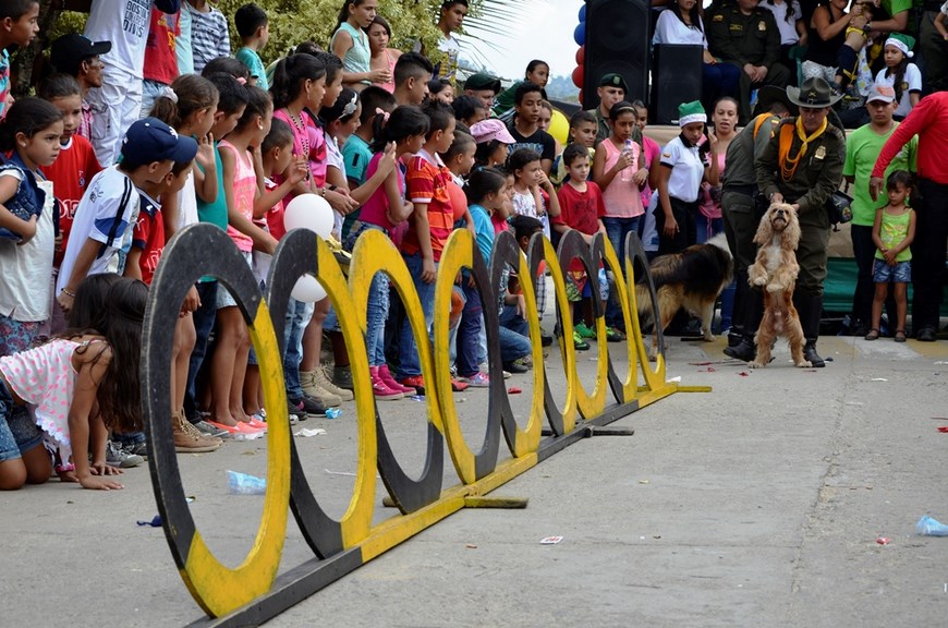 Foto: Cortesía Policía Antioquia