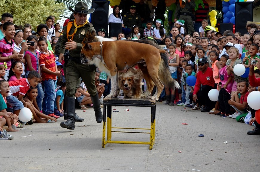 Foto: Cortesía Policía Antioquia