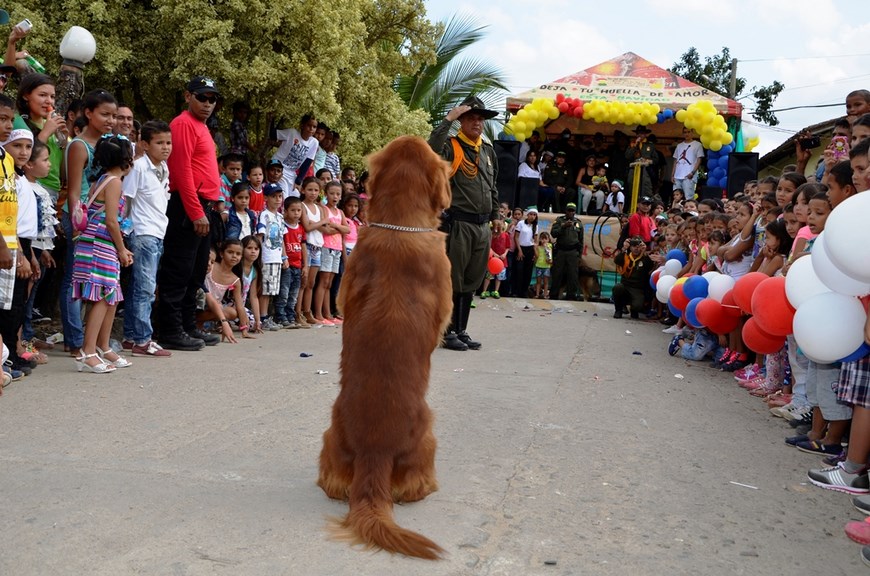 Foto: Cortesía Policía Antioquia