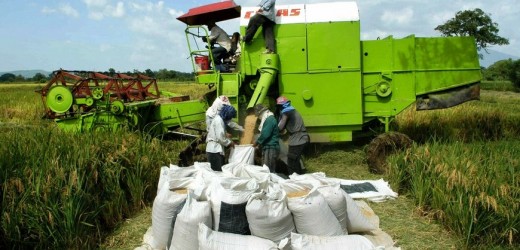 Colombia contará con seis escuelas rurales agropecuarias inspiradas en el modelo agropecuario francés