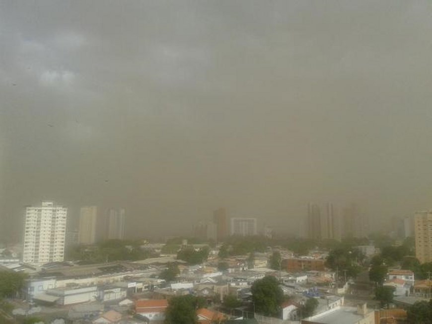 Foto tomada de Twitter
