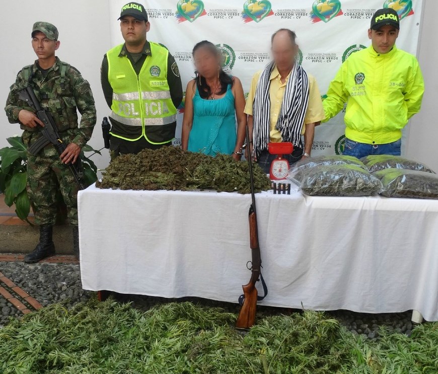 Capturados dos cultivadores de marihuana en Santa Fe de Antioquia 2 Foto: Policía Antioquia