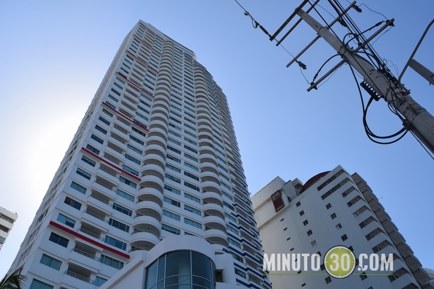 palmetto en cartagena)