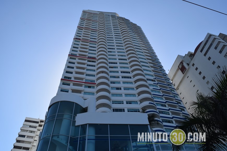 palmetto en cartagena