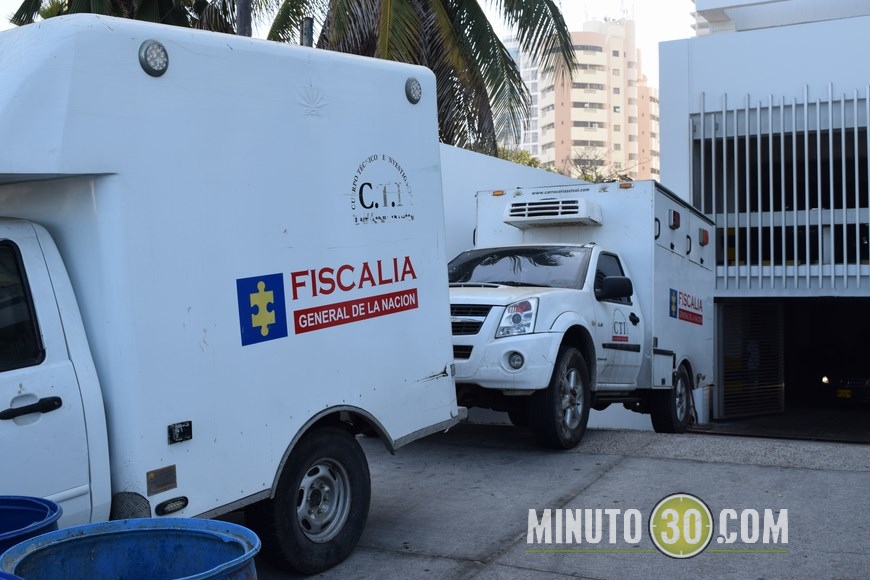 palmetto en cartagena