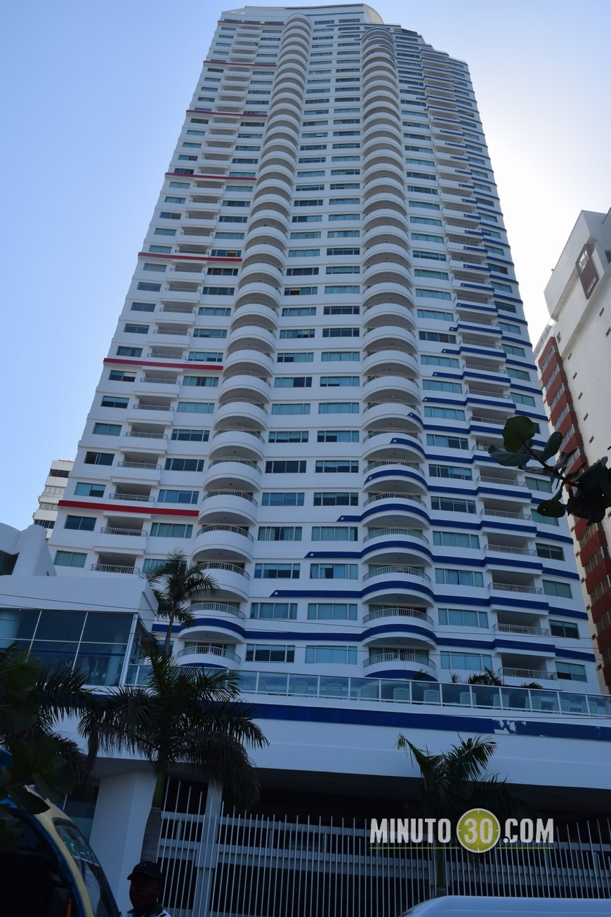 palmetto en cartagena