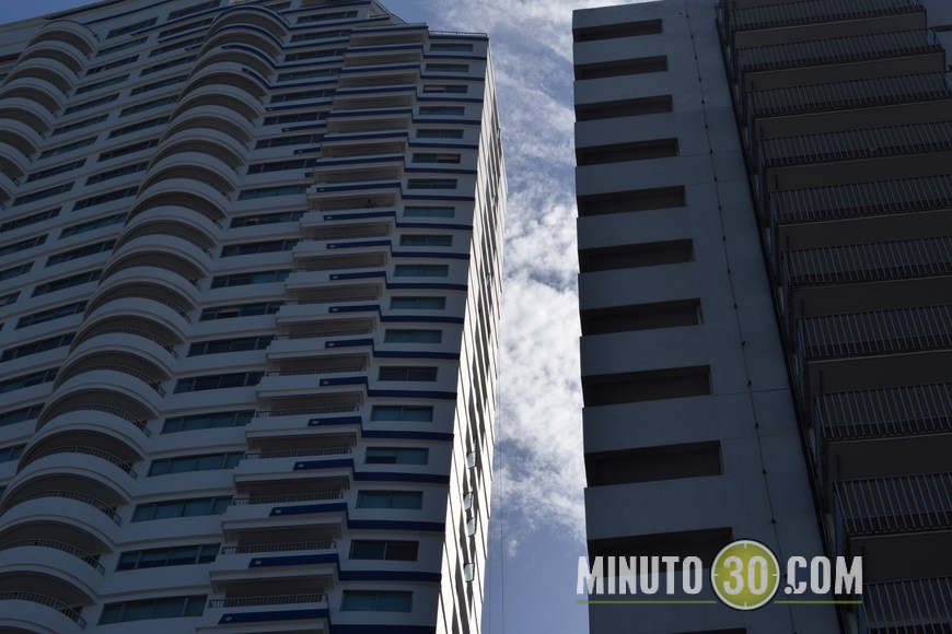 palmetto en cartagena