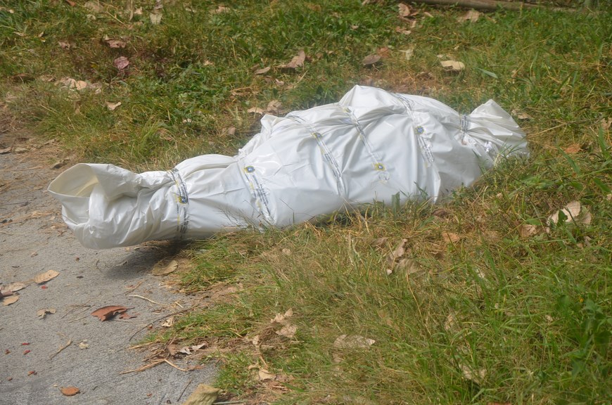 Foto: Guillermo Naranjo