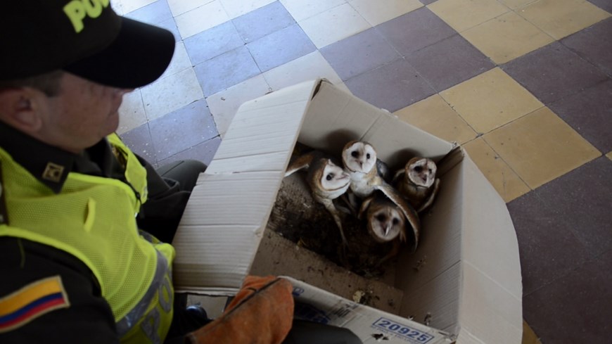 Foto: Policía Antioquia
