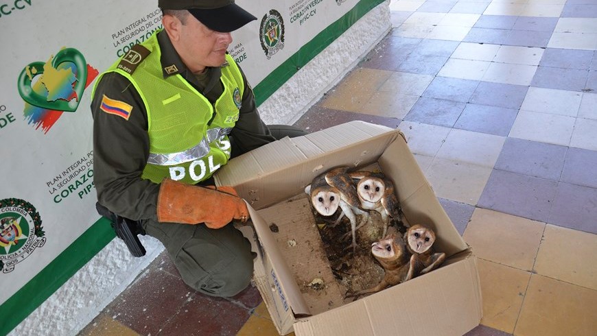 Foto: Policía Antioquia