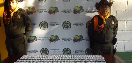 MARIHUANA INCAUTADA EN SAN JERONIMO 1