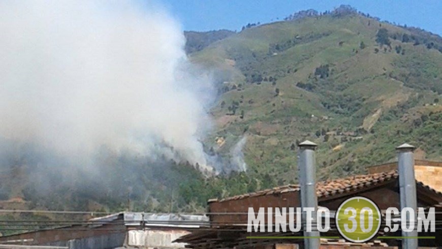 REACTIVARON LLAMAS (1)